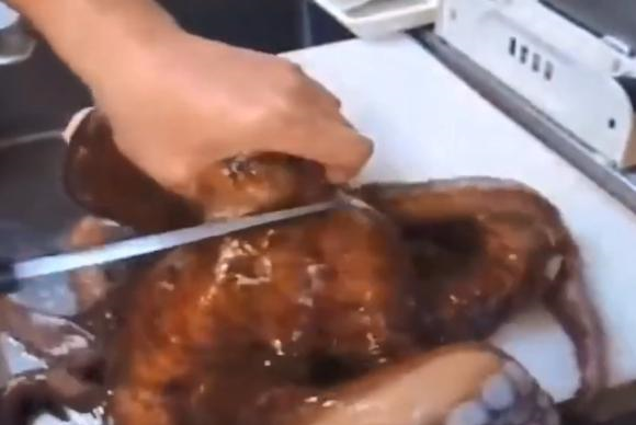 日本厨师现场处理巨型章鱼,刀功娴熟厉害,直接蘸酱料吃休闲区蓝鸢梦想 - Www.slyday.coM 日本厨师现场处理巨型章鱼,刀功娴熟厉害,直接蘸酱料吃休闲区蓝鸢梦想 - Www.slyday.coM