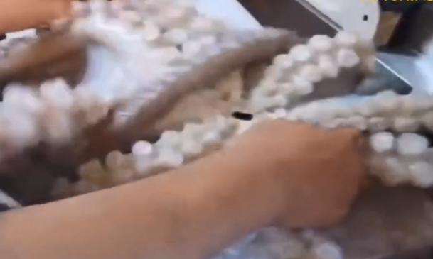 日本厨师现场处理巨型章鱼,刀功娴熟厉害,直接蘸酱料吃休闲区蓝鸢梦想 - Www.slyday.coM 日本厨师现场处理巨型章鱼,刀功娴熟厉害,直接蘸酱料吃休闲区蓝鸢梦想 - Www.slyday.coM