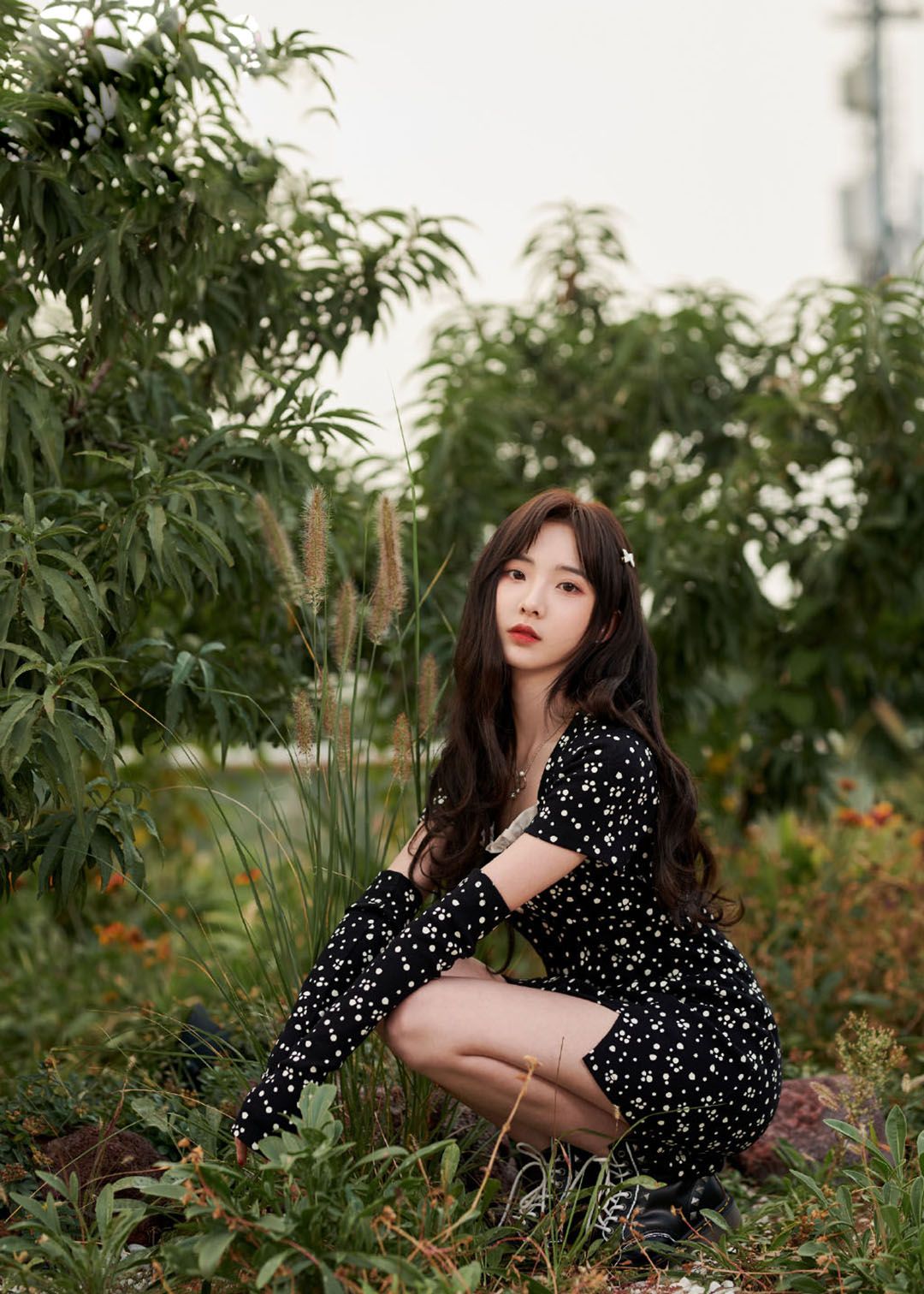 郑乃馨黑色碎花短裙写真郑乃馨黑色碎花短裙写真郑乃