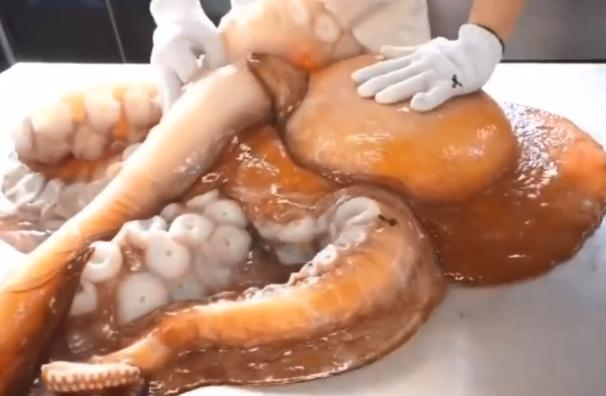 日本厨师现场处理巨型章鱼,刀功娴熟厉害,直接蘸酱料吃休闲区蓝鸢梦想 - Www.slyday.coM 日本厨师现场处理巨型章鱼,刀功娴熟厉害,直接蘸酱料吃休闲区蓝鸢梦想 - Www.slyday.coM