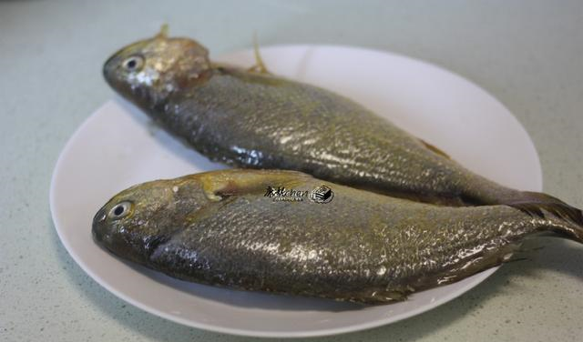 这鱼孩子最喜欢吃了，肉多刺少味美，贵点也要吃，孩子越吃越聪明休闲区蓝鸢梦想 - Www.slyday.coM