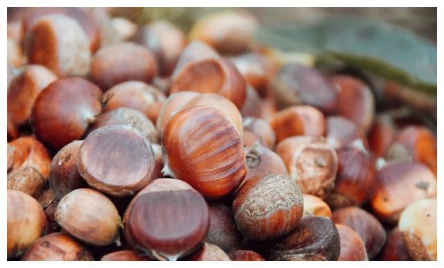 生板栗怎么保存时间长 教你 4个方法 最长一次能存放一年 财经头条