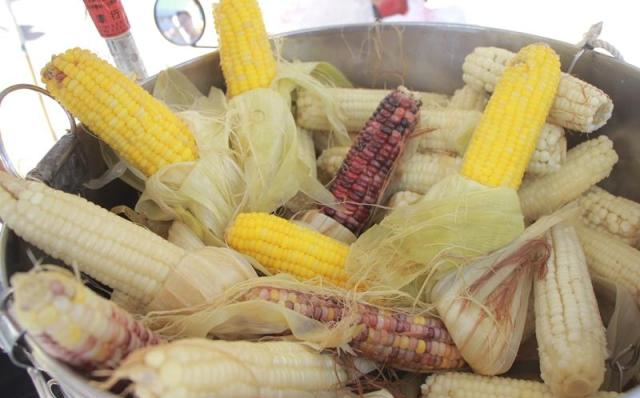 甜的？糯的？玉米品种多，只有一种能做爆米花！休闲区蓝鸢梦想 - Www.slyday.coM
