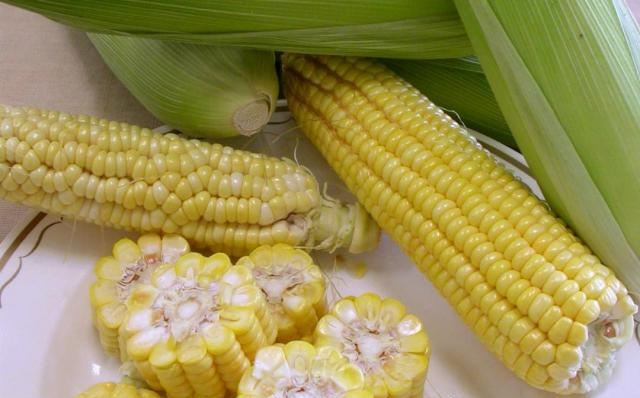 甜的？糯的？玉米品种多，只有一种能做爆米花！休闲区蓝鸢梦想 - Www.slyday.coM