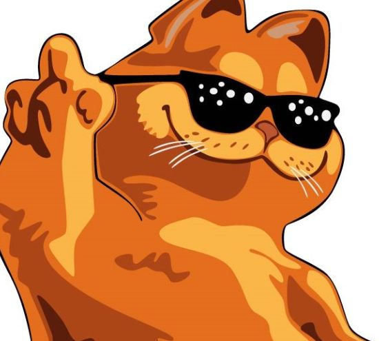 吃完就睡的大胖猫这是我见过最懒的猫值得观看的一部动漫