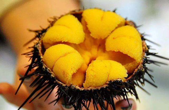 可以直接“生吃”的海鲜，最后一种在<a href=