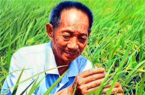 同样是人口大国,为何中国满世界买粮食,而印度向全世界出口粮食休闲区蓝鸢梦想 - Www.slyday.coM 同样是人口大国,为何中国满世界买粮食,而印度向全世界出口粮食休闲区蓝鸢梦想 - Www.slyday.coM