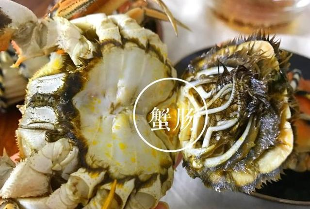 螃蟹虽然好吃,但是这4个部分是不能吃的,你还不知道吧休闲区蓝鸢梦想 - Www.slyday.coM 螃蟹虽然好吃,但是这4个部分是不能吃的,你还不知道吧休闲区蓝鸢梦想 - Www.slyday.coM