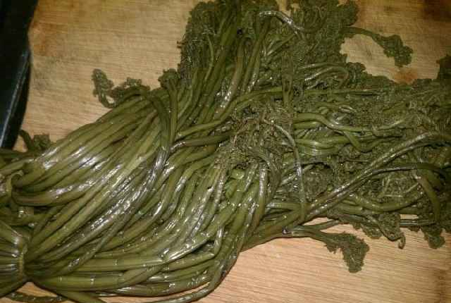 这4种蔬菜中国人怎么吃也吃不够，美国人却把它列入“黑名单”休闲区蓝鸢梦想 - Www.slyday.coM