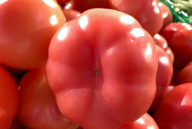 西红柿还有这作用?化妆品的钱也省了,爱美的女人收藏吧休闲区蓝鸢梦想 - Www.slyday.coM 西红柿还有这作用?化妆品的钱也省了,爱美的女人收藏吧休闲区蓝鸢梦想 - Www.slyday.coM