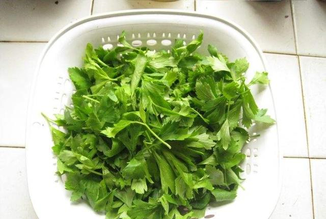 这种菜叶子一直被扔到垃圾桶,医生说它抗癌之王,它做成丸子好吃休闲区蓝鸢梦想 - Www.slyday.coM 这种菜叶子一直被扔到垃圾桶,医生说它抗癌之王,它做成丸子好吃休闲区蓝鸢梦想 - Www.slyday.coM