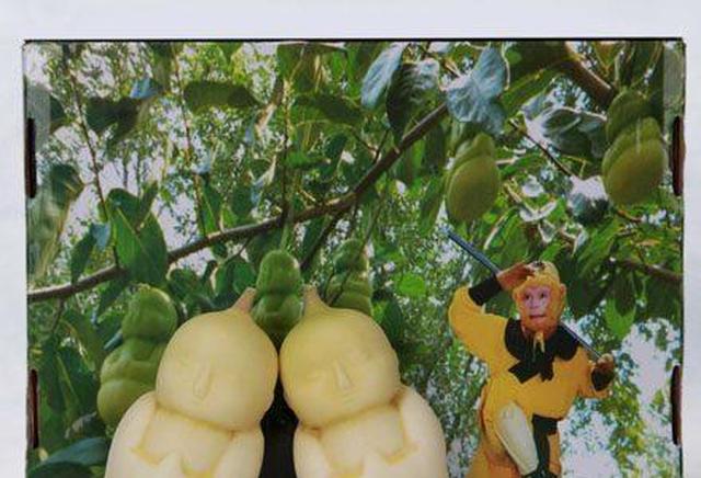 西游记:为什么孙悟空要去偷人参果?