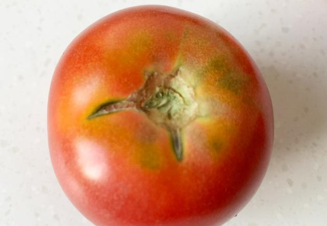 西红柿还有这作用?化妆品的钱也省了,爱美的女人收藏吧休闲区蓝鸢梦想 - Www.slyday.coM 西红柿还有这作用?化妆品的钱也省了,爱美的女人收藏吧休闲区蓝鸢梦想 - Www.slyday.coM