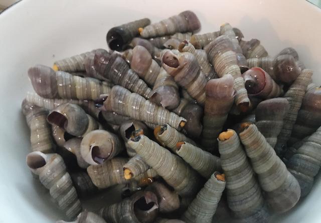 香辣钉螺海锥的做法配方味道非常鲜美解馋最好了