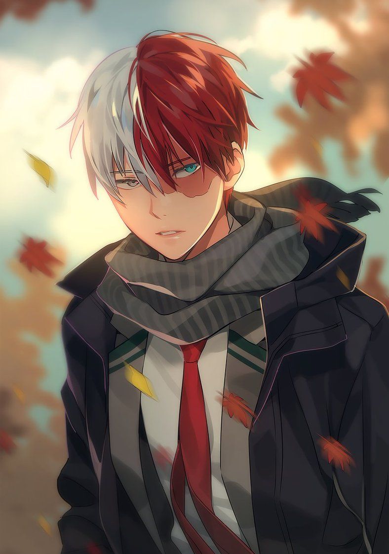 动漫图片:《我的英雄学院》角色轰焦冻头像图集13p_高清图集_新浪网