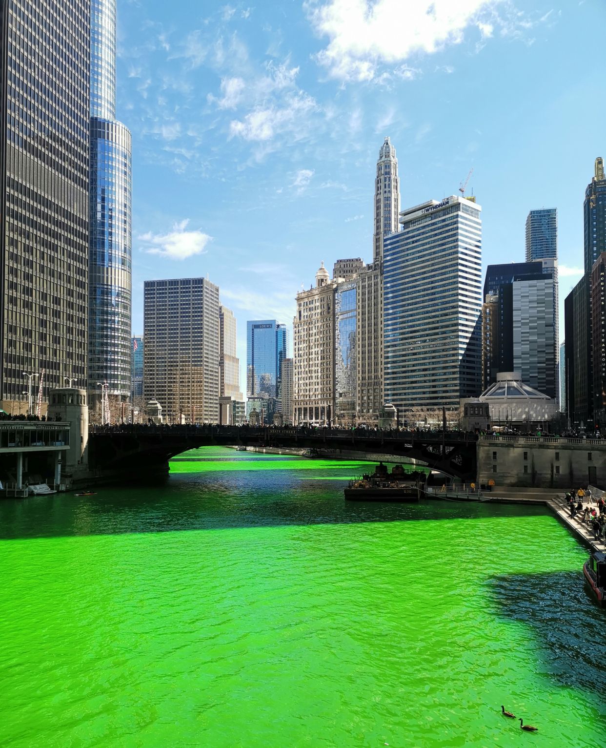圣巴特里克节的芝加哥河