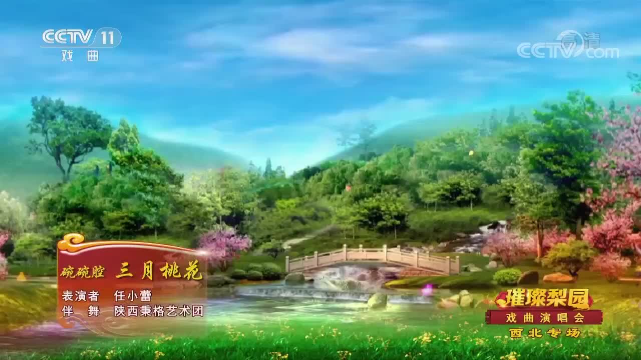 碗碗腔《三月桃花》经典选段,精彩的舞台演唱,观众掌声不断!