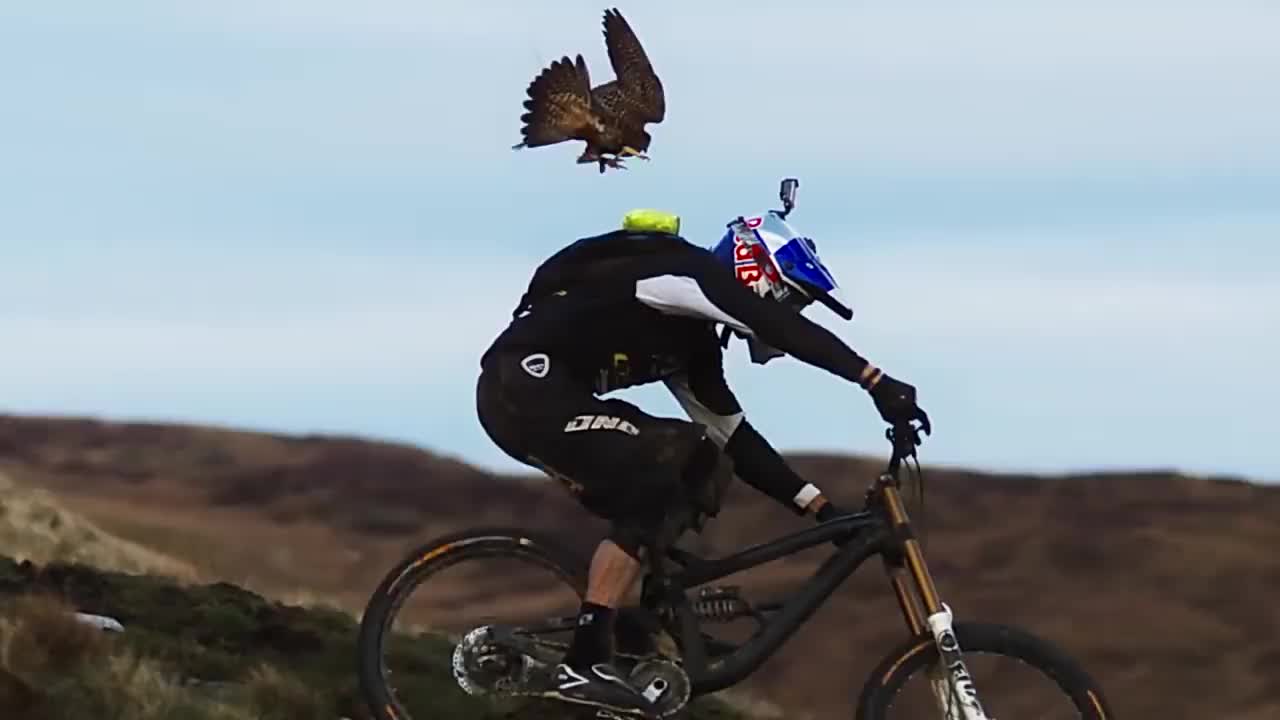 老鹰把人当作了猎物,下一秒突然俯冲而下,网友:姿势够帅气!