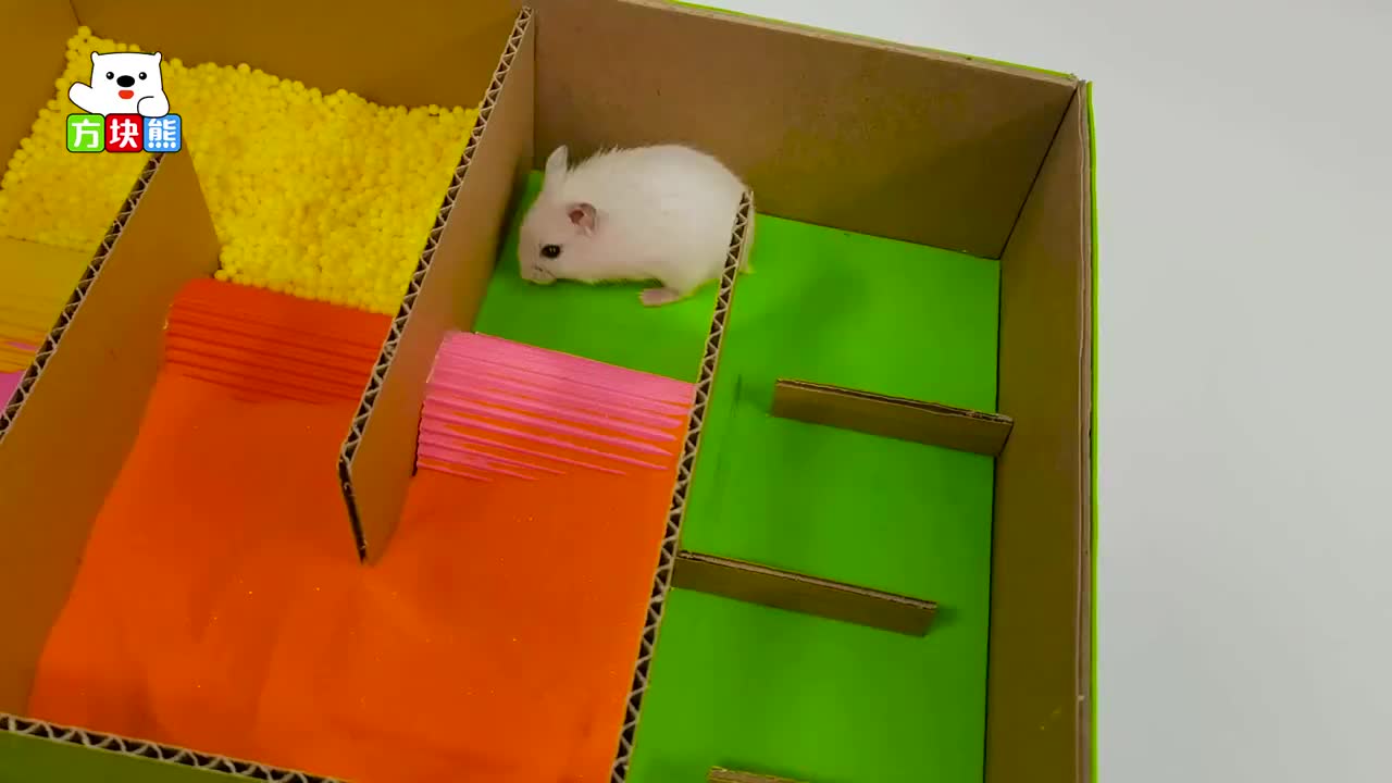 小仓鼠逃离迷宫,一路上演精彩逃亡