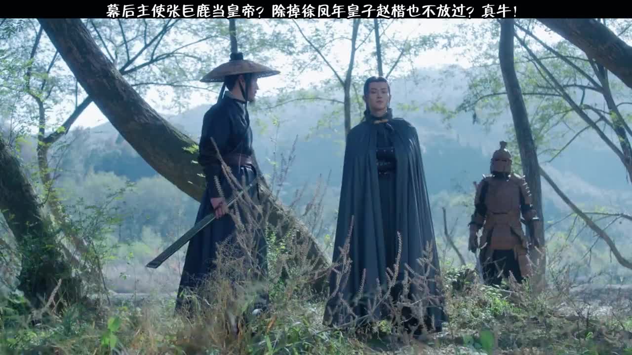 幕后主使张巨鹿当皇帝除掉徐凤年皇子赵楷也不放过真牛