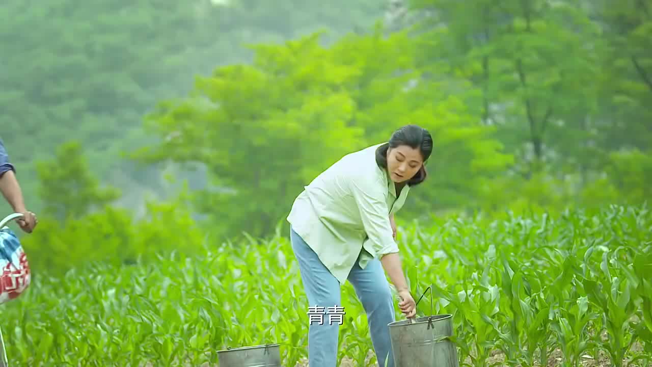 小草青青青青被春来感动决定嫁给他二秀都替她可惜