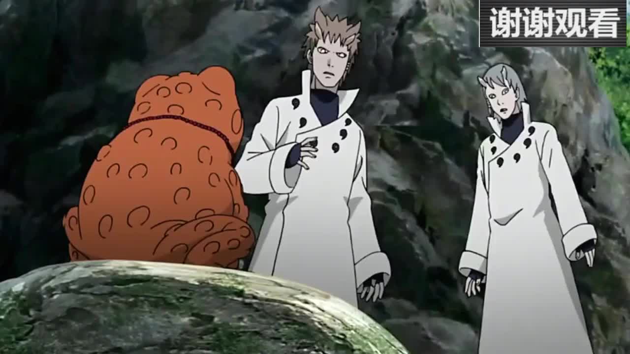 大筒木羽衣羽村遇到蛤蟆丸赶紧开白眼看看这是个啥玩意