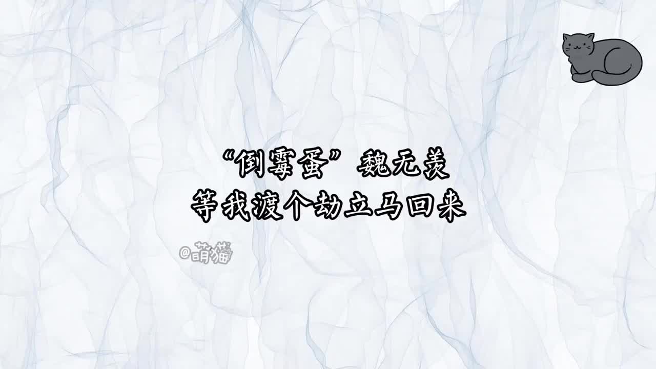 倒霉蛋魏无羡等我渡个劫立马回来