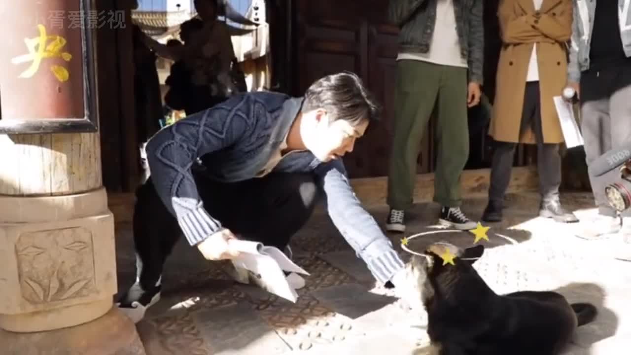 司藤片场花絮三景甜张彬彬
