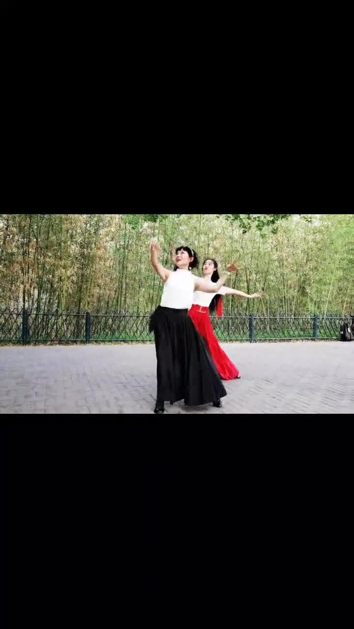 杜老师师徒双人舞《江南雨》旋律委婉动听 舞蹈优雅大气抒情