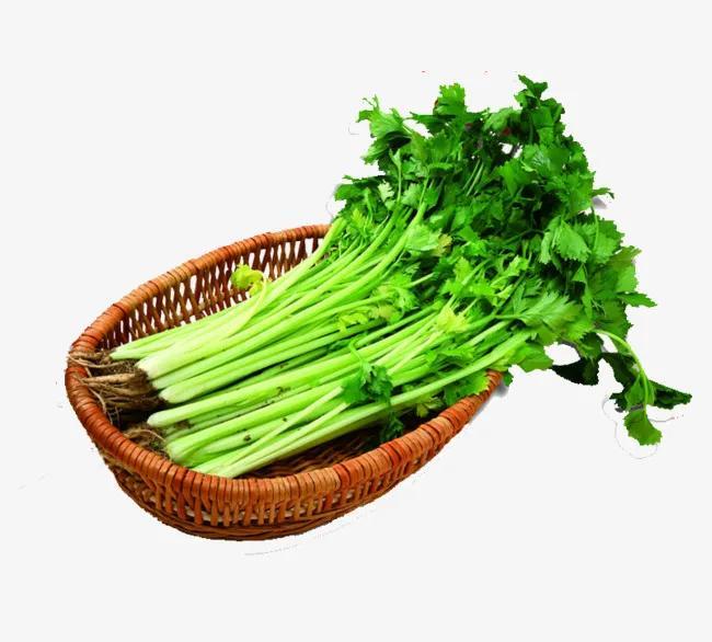 益智健脑食谱之芹菜香菇炒墨鱼|芹菜|墨鱼|香菇_新浪新闻