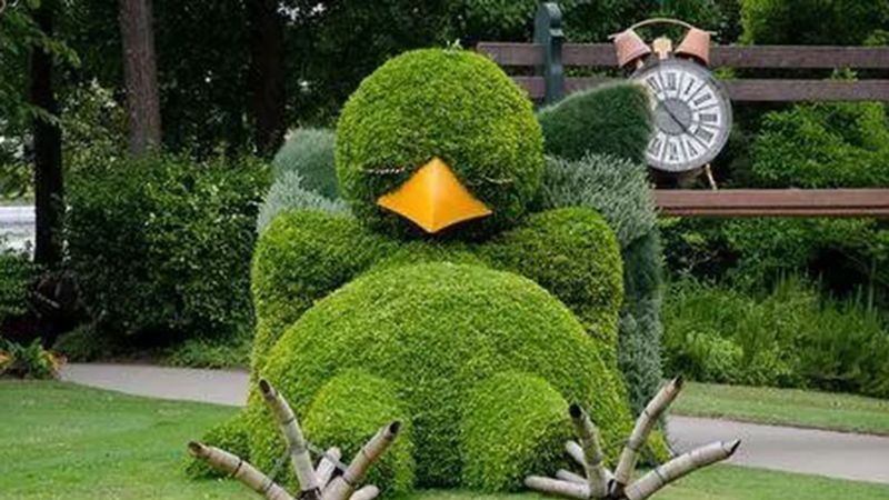 绿雕景观小品的特色_高清图集_新浪网