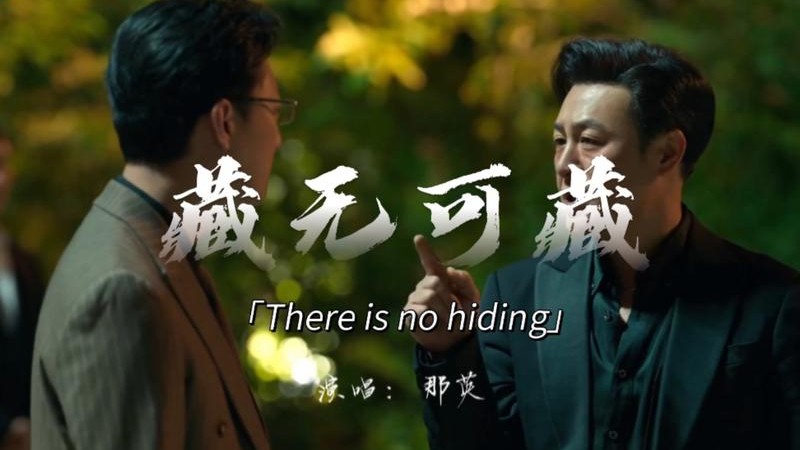 那英《藏无可藏》，《狂飙》主题曲，荡气回肠听完热血沸腾