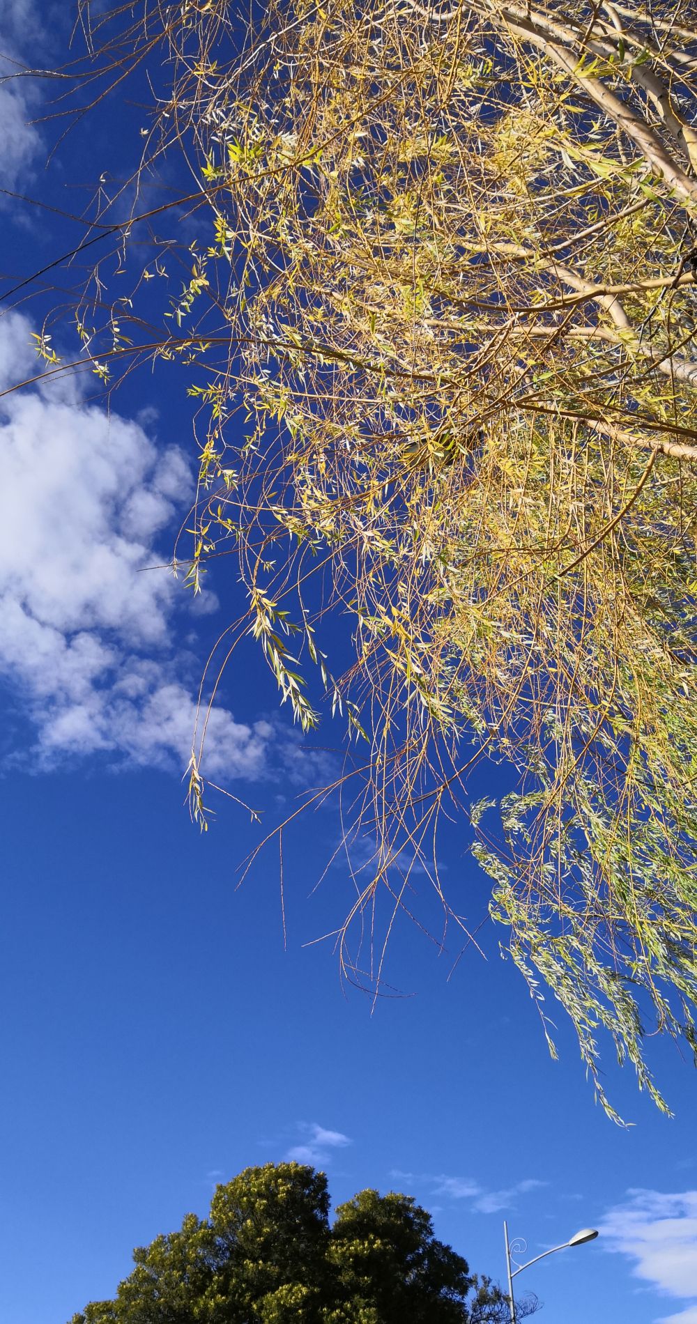 云南丽江农村的天空_高清图集_新浪网