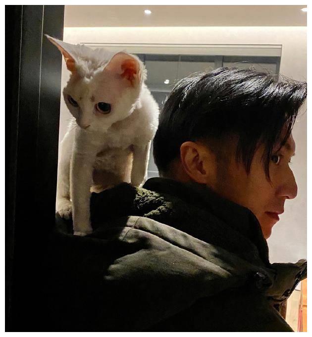 谢霆锋晒猫咪按摩秀恩爱 吃醋自侃:我好多余