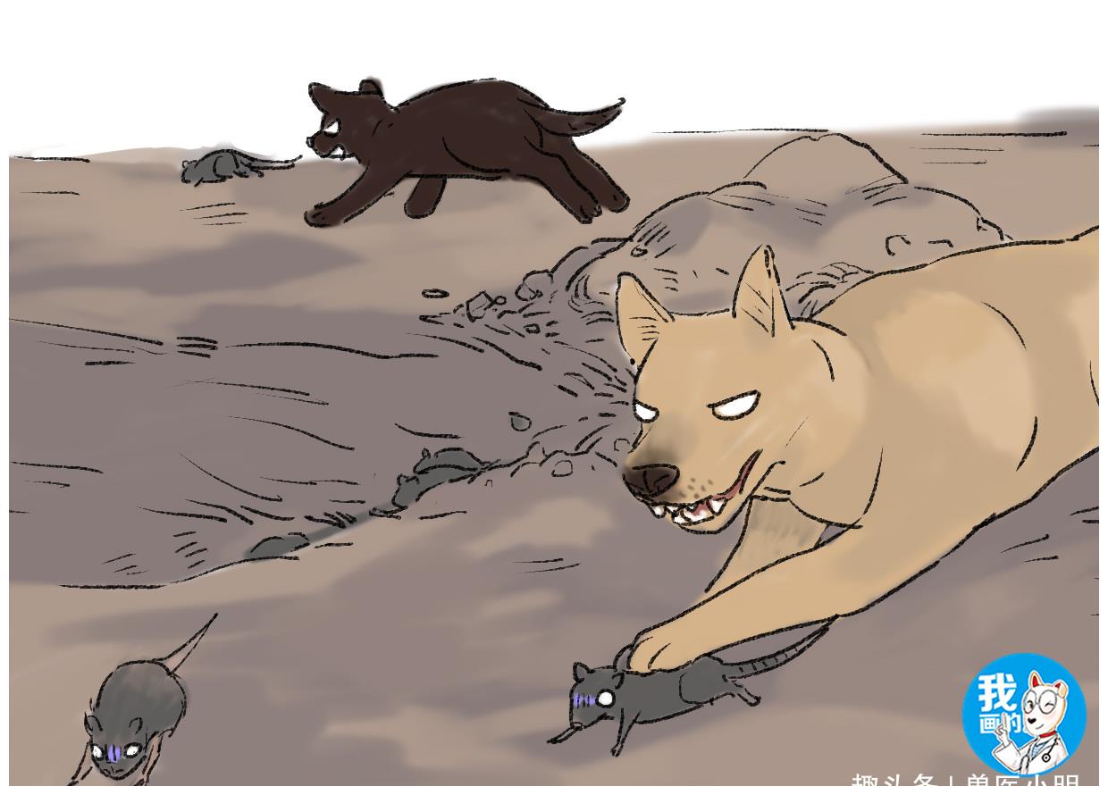 田里晚上总传出怪声,村民商量将土翻开:狗拿耗子不再是多管闲事