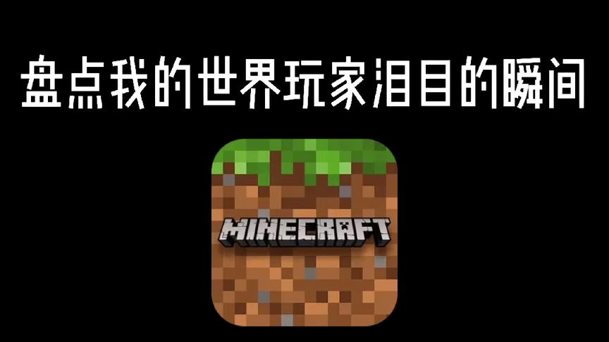 我的世界:盘点我的世界玩家泪目的瞬间!