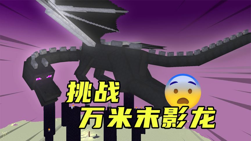 我的世界:比末地岛还大的末影龙,你见过吗?
