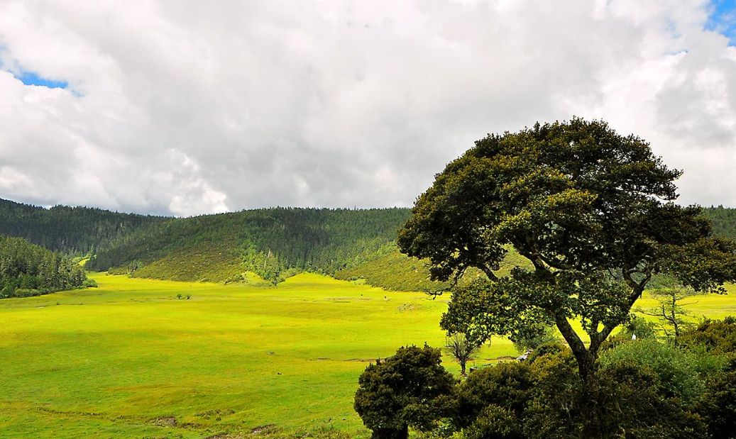 1 / 6 联合国教科文组织世界遗产霍尔托巴吉是匈牙利大平原最具特色的