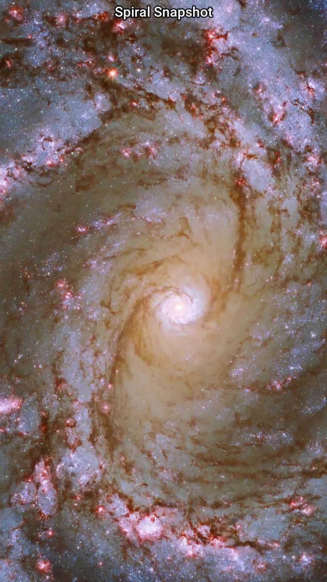 nasa哈勃太空望远镜以m61星系的发光心脏为特色_手机新浪网