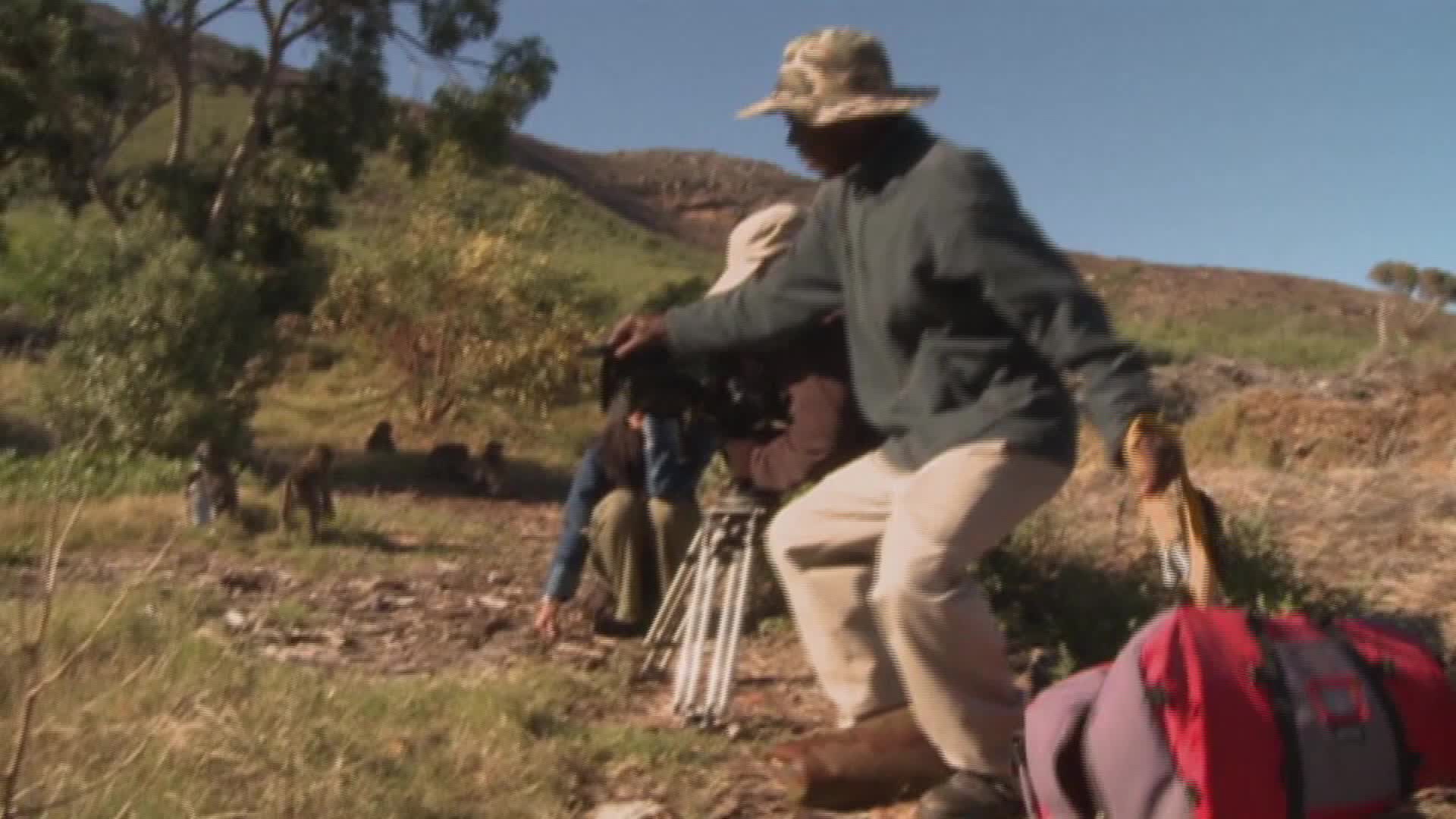 他希望通过影像来保护狒狒,收集足够的材料来保护狒狒