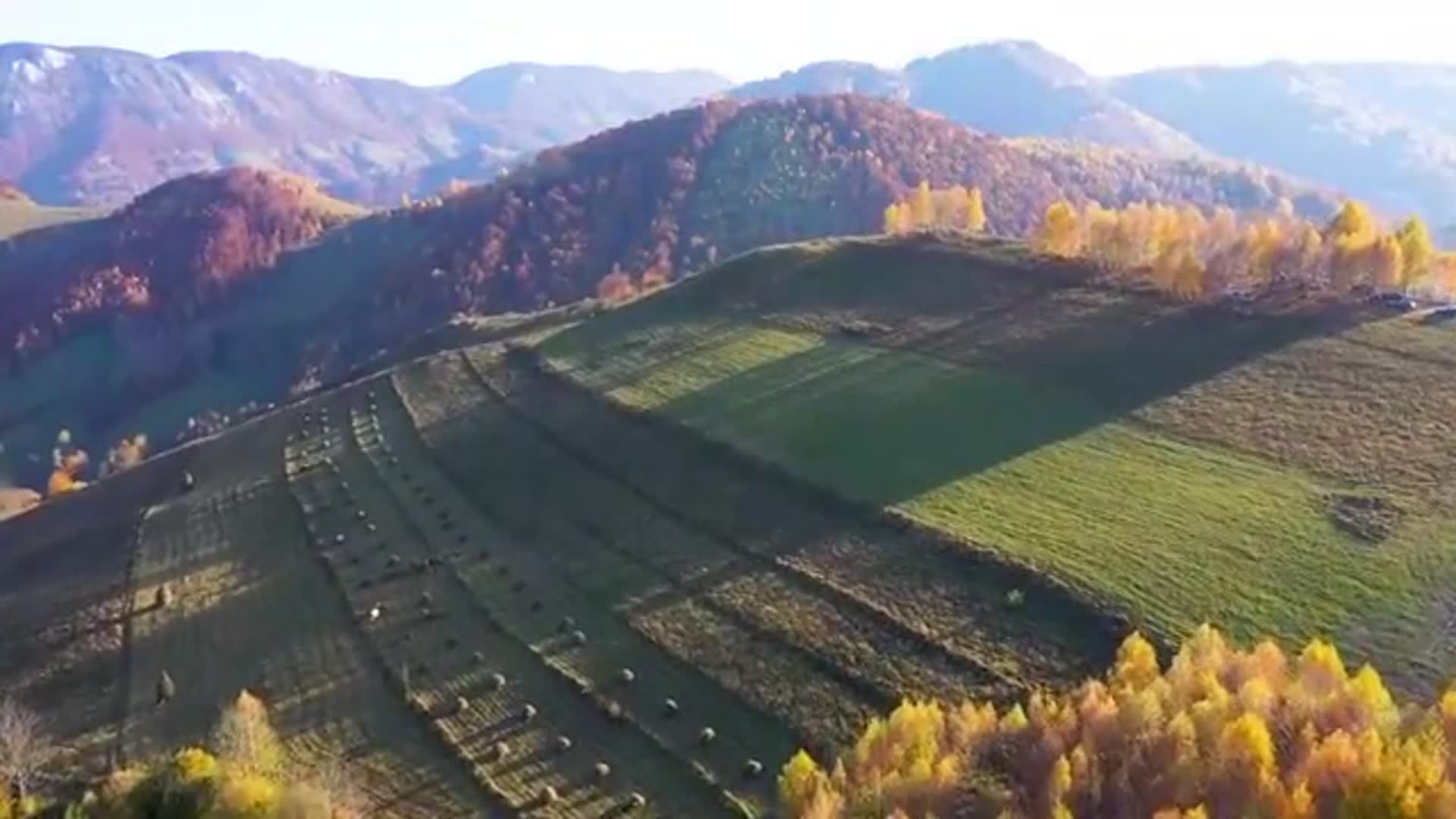 一首动人的《宝贝对不起》火遍大街小巷，心都要听化了