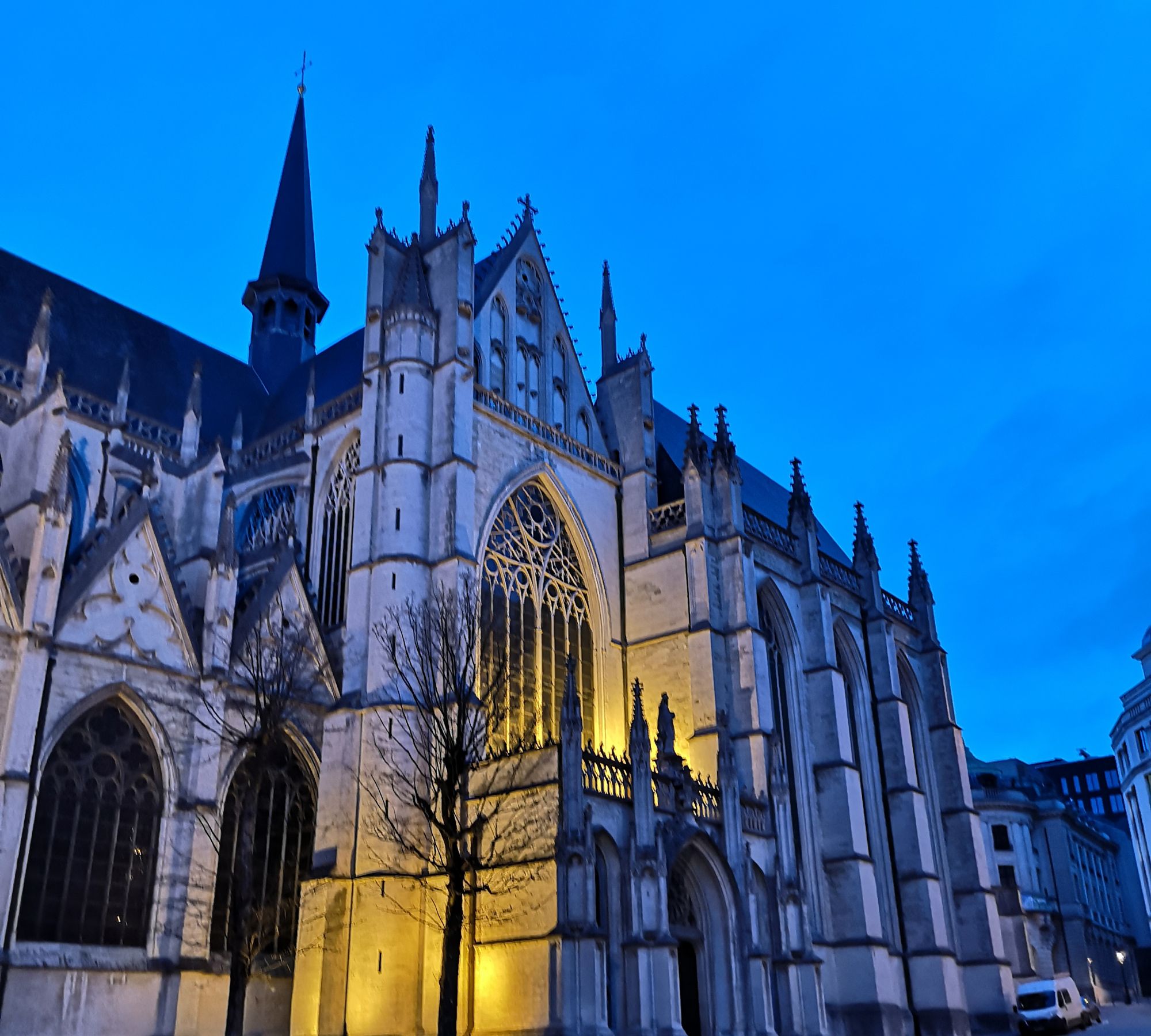 圣弥额尔圣古都勒主教座布鲁塞尔最醒目宏伟的大教堂_高清图集_新浪网