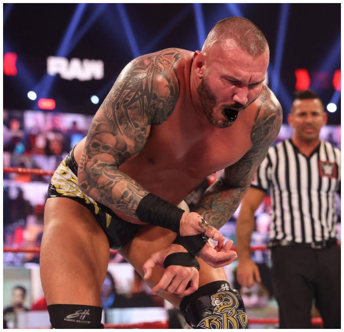 摔角界的贝克汉姆, 兰迪奥顿已由自大的毒蛇蜕变成受人尊重的传奇