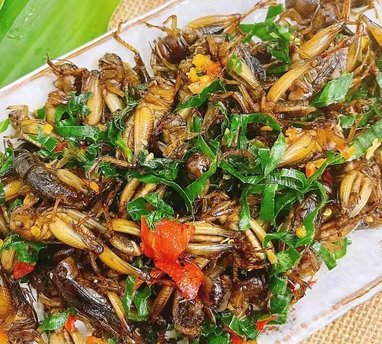 越南几个蟋蟀一盘菜