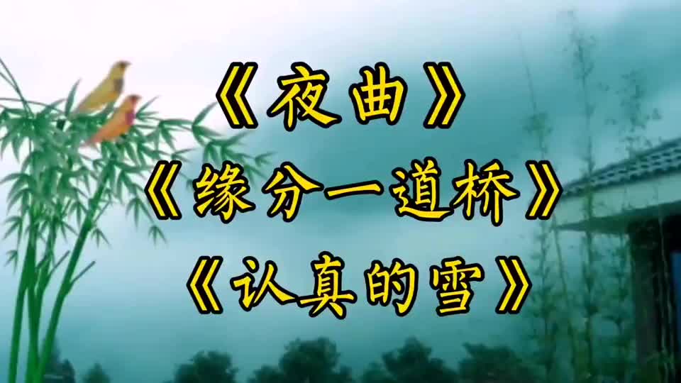 夜曲缘分一道桥认真的雪带你回忆曾经的经典歌曲