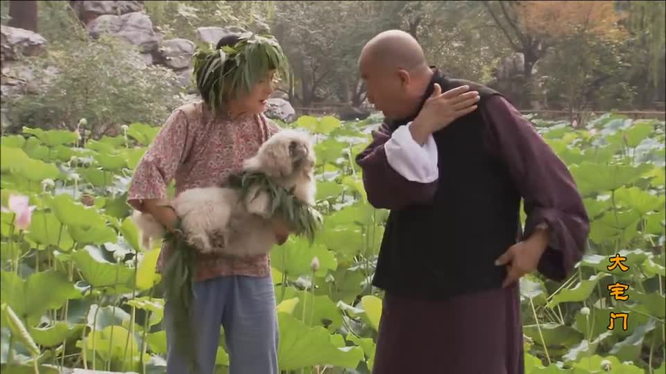 大宅门:二奶奶让丫头抱狗,让丫头跟自己回去,丫头不愿意