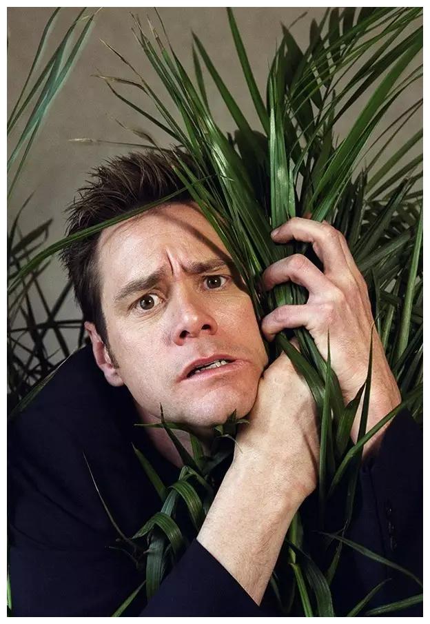 小朋友你们听过金凯瑞吗那个车里摇头晃脑四兄弟的表情包