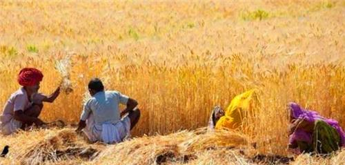 同样是人口大国,为何中国满世界买粮食,而印度向全世界出口粮食休闲区蓝鸢梦想 - Www.slyday.coM 同样是人口大国,为何中国满世界买粮食,而印度向全世界出口粮食休闲区蓝鸢梦想 - Www.slyday.coM