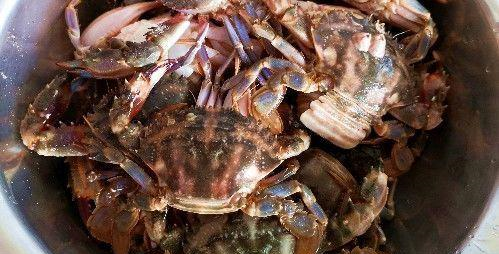 2.厨娘买的是铁脚蟹又称为花盖蟹.