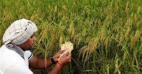 同样是人口大国,为何印度向全世界出口大米,而中国满世界买大米休闲区蓝鸢梦想 - Www.slyday.coM 同样是人口大国,为何印度向全世界出口大米,而中国满世界买大米休闲区蓝鸢梦想 - Www.slyday.coM